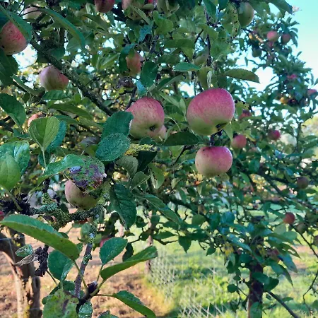 Apfelhof * Grundshagen